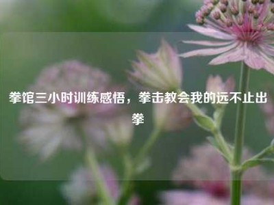 拳馆三小时训练感悟，拳击教会我的远不止出拳