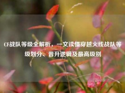 CF战队等级全解析，一文读懂穿越火线战队等级划分、晋升逻辑及最高级别