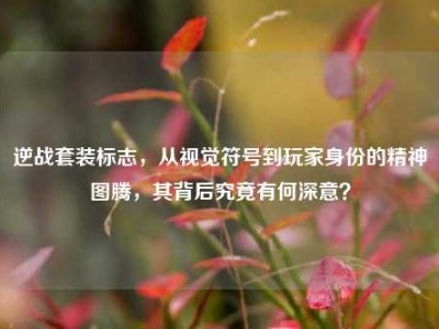 逆战套装标志，从视觉符号到玩家身份的精神图腾，其背后究竟有何深意？