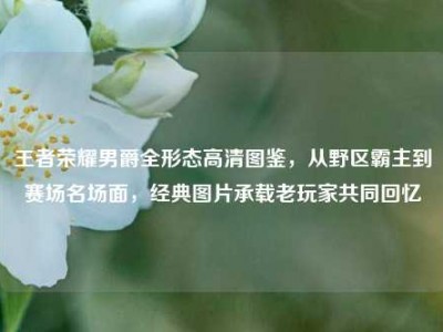 王者荣耀男爵全形态高清图鉴，从野区霸主到赛场名场面，经典图片承载老玩家共同回忆