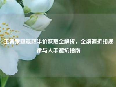 王者荣耀嬴政半价获取全解析，全渠道折扣规律与入手避坑指南