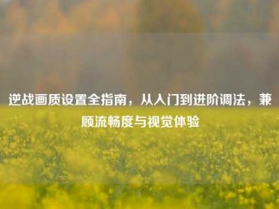 逆战画质设置全指南，从入门到进阶调法，兼顾流畅度与视觉体验