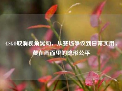CSGO取消视角晃动，从赛场争议到日常实用，藏在画面里的隐形公平