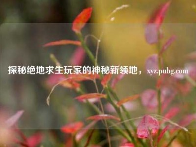 探秘绝地求生玩家的神秘新领地，xyz.pubg.com