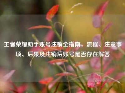 王者荣耀助手账号注销全指南，流程、注意事项、后果及注销后账号是否存在解答