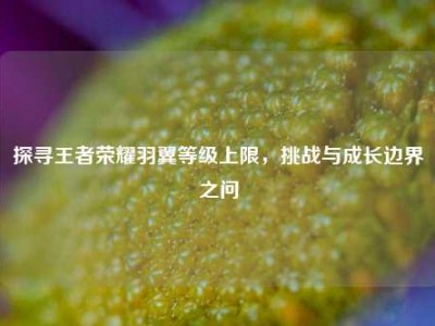 探寻王者荣耀羽翼等级上限，挑战与成长边界之问