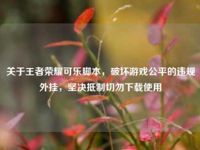 关于王者荣耀可乐脚本，破坏游戏公平的违规外挂，坚决抵制切勿下载使用