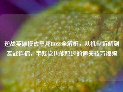 逆战英雄模式黑龙BOSS全解析，从机制拆解到实战连招，手残党也能稳过的通关技巧视频