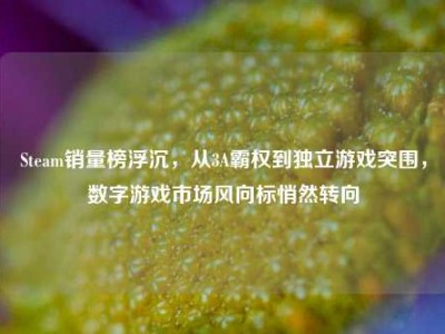 Steam销量榜浮沉，从3A霸权到独立游戏突围，数字游戏市场风向标悄然转向