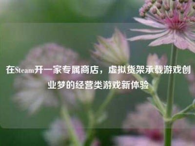 在Steam开一家专属商店，虚拟货架承载游戏创业梦的经营类游戏新体验