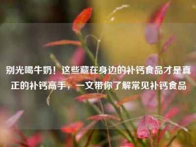 别光喝牛奶！这些藏在身边的补钙食品才是真正的补钙高手，一文带你了解常见补钙食品