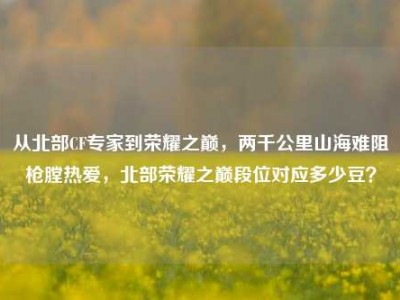 从北部CF专家到荣耀之巅，两千公里山海难阻枪膛热爱，北部荣耀之巅段位对应多少豆？