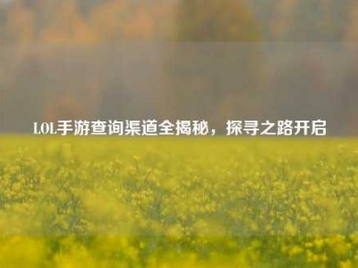 LOL手游查询渠道全揭秘，探寻之路开启