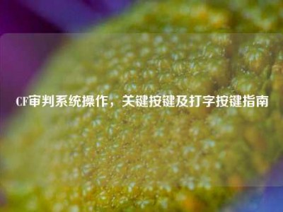 CF审判系统操作，关键按键及打字按键指南