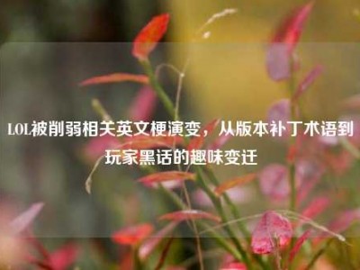 LOL被削弱相关英文梗演变，从版本补丁术语到玩家黑话的趣味变迁