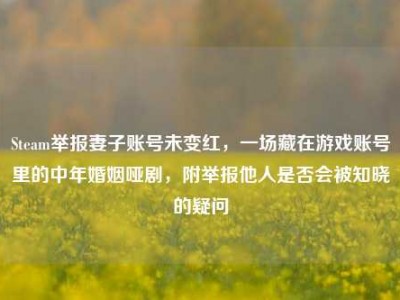 Steam举报妻子账号未变红，一场藏在游戏账号里的中年婚姻哑剧，附举报他人是否会被知晓的疑问
