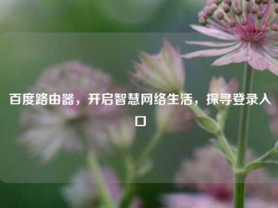 百度路由器，开启智慧网络生活，探寻登录入口