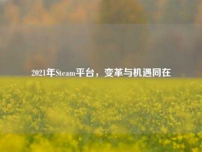 2021年Steam平台，变革与机遇同在