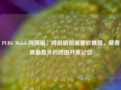 PUBG Mobile闯韩服，跨屏硝烟混着软糖甜，藏着我最意外的跨国开黑记忆
