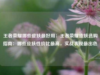 王者荣耀哪些皮肤最好用：王者荣耀皮肤选购指南：哪些皮肤性价比最高，实战表现最出色