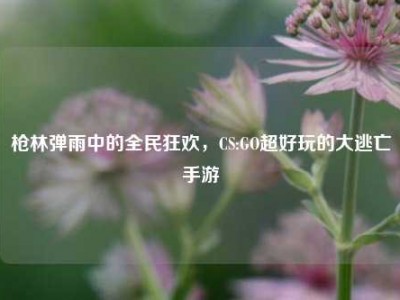 枪林弹雨中的全民狂欢，CS:GO超好玩的大逃亡手游