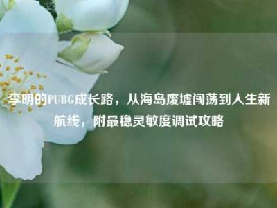 李明的PUBG成长路，从海岛废墟闯荡到人生新航线，附最稳灵敏度调试攻略