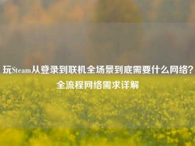 玩Steam从登录到联机全场景到底需要什么网络？全流程网络需求详解