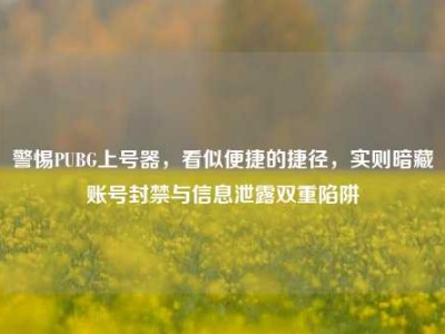 警惕PUBG上号器，看似便捷的捷径，实则暗藏账号封禁与信息泄露双重陷阱