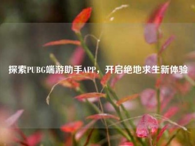 探索PUBG端游助手APP，开启绝地求生新体验