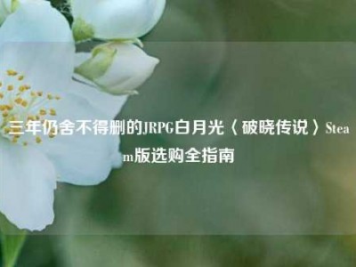 三年仍舍不得删的JRPG白月光〈破晓传说〉Steam版选购全指南