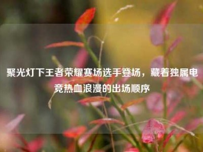 聚光灯下王者荣耀赛场选手登场，藏着独属电竞热血浪漫的出场顺序