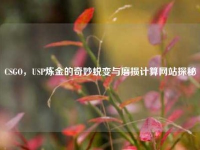 CSGO，USP炼金的奇妙蜕变与磨损计算网站探秘