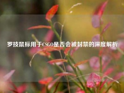 罗技鼠标用于CSGO是否会被封禁的深度解析