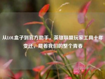 从LOL盒子到官方助手，英雄联盟玩家工具十年变迁，藏着我们的整个青春