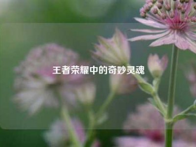王者荣耀中的奇妙灵魂