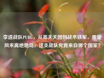 李逵战队PUBG，从莽夫天团到战术铁军，黑旋风未离绝地岛，这支战队究竟来自哪个国家？