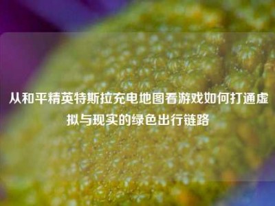 从和平精英特斯拉充电地图看游戏如何打通虚拟与现实的绿色出行链路