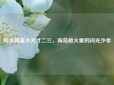和平精英小天才二三，海岛枪火里的闪光少年