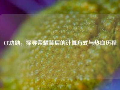 CF功勋，探寻荣耀背后的计算方式与热血历程