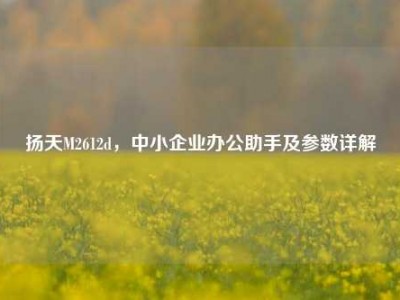 扬天M2612d，中小企业办公助手及参数详解