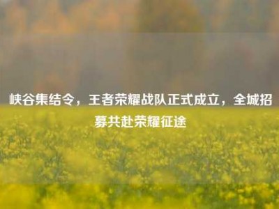 峡谷集结令，王者荣耀战队正式成立，全城招募共赴荣耀征途