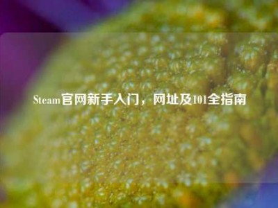 Steam官网新手入门，网址及101全指南