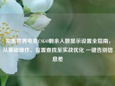 完美世界电竞CSGO剩余人数显示设置全指南，从基础操作、位置查找至实战优化 一键告别信息差