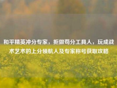 和平精英冲分专家，拒做苟分工具人，玩成战术艺术的上分领航人及专家称号获取攻略