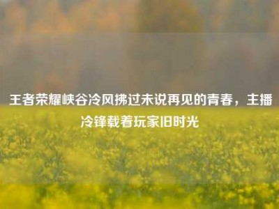 王者荣耀峡谷冷风拂过未说再见的青春，主播冷锋载着玩家旧时光
