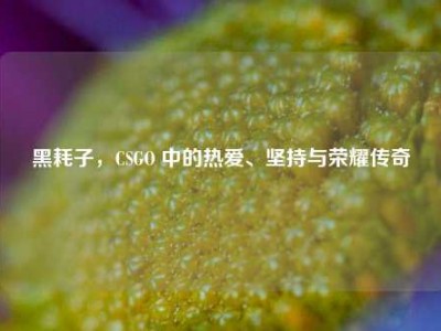 黑耗子，CSGO 中的热爱、坚持与荣耀传奇