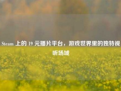Steam 上的 19 元播片平台，游戏世界里的独特视听场域