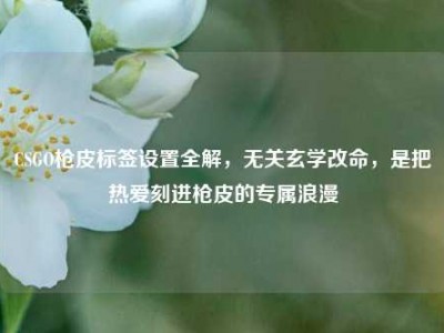 CSGO枪皮标签设置全解，无关玄学改命，是把热爱刻进枪皮的专属浪漫