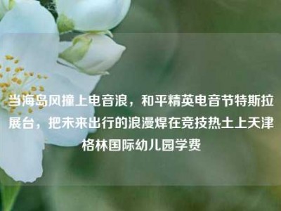 当海岛风撞上电音浪，和平精英电音节特斯拉展台，把未来出行的浪漫焊在竞技热土上天津格林国际幼儿园学费