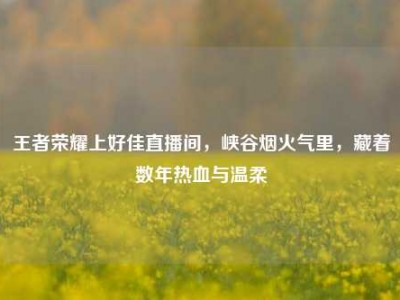 王者荣耀上好佳直播间，峡谷烟火气里，藏着数年热血与温柔